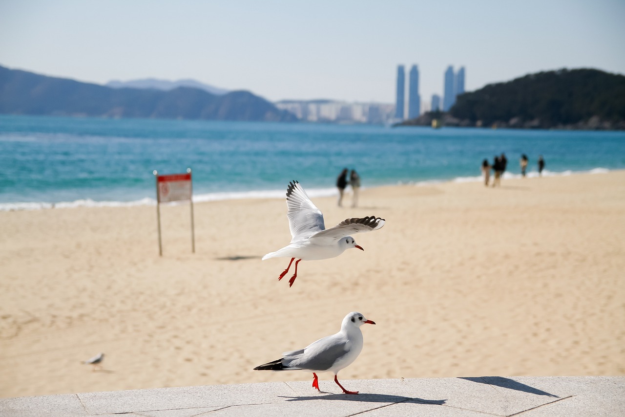 부산 이사비용