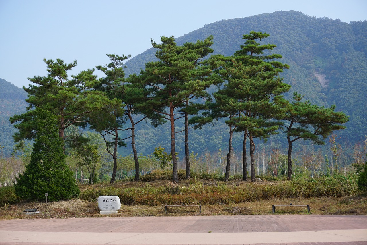 성남이사짐