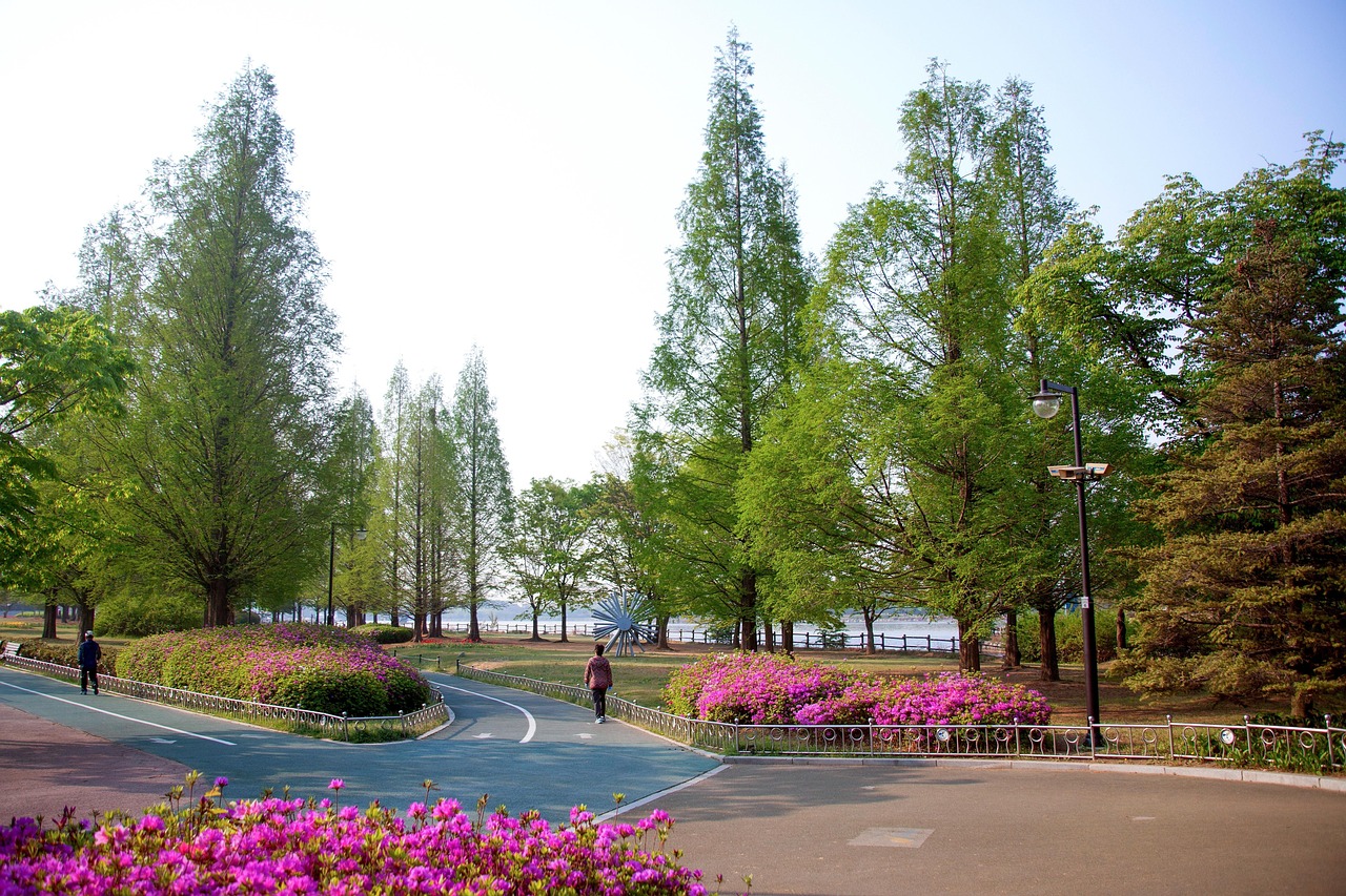 일산 핫플