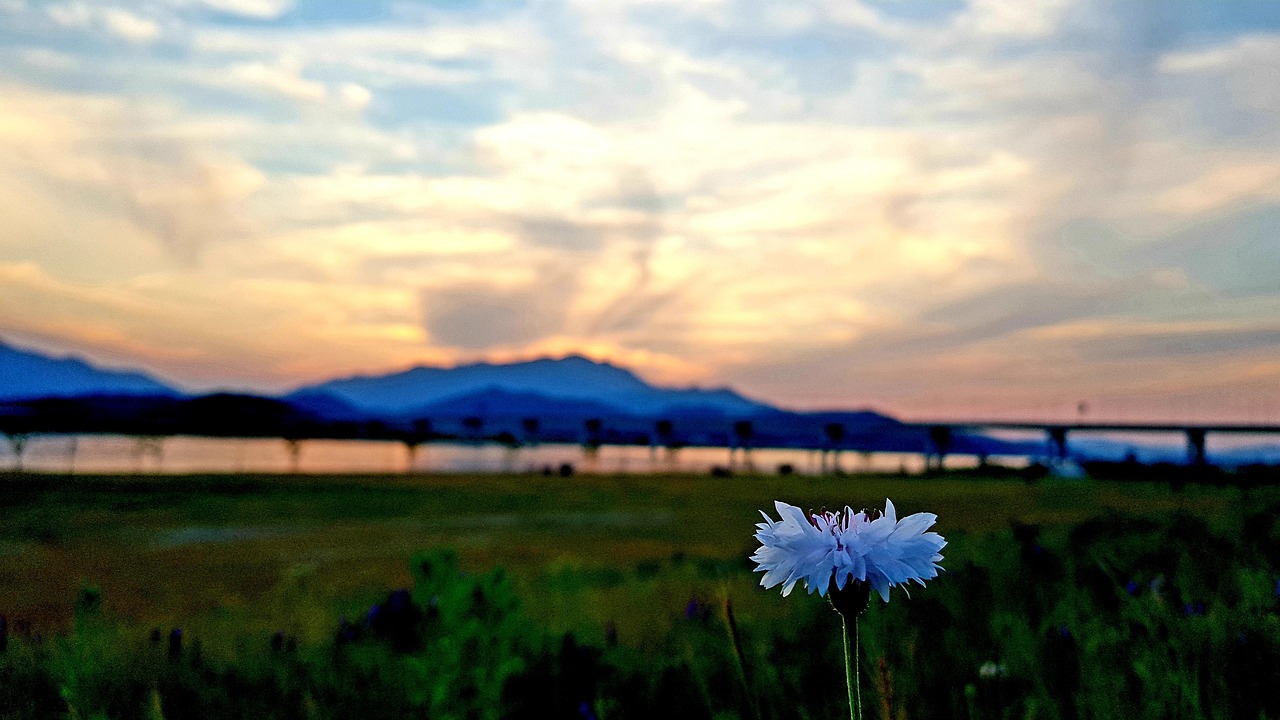 오산이사