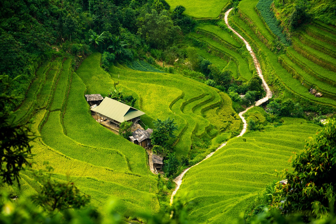 충주아파트이사