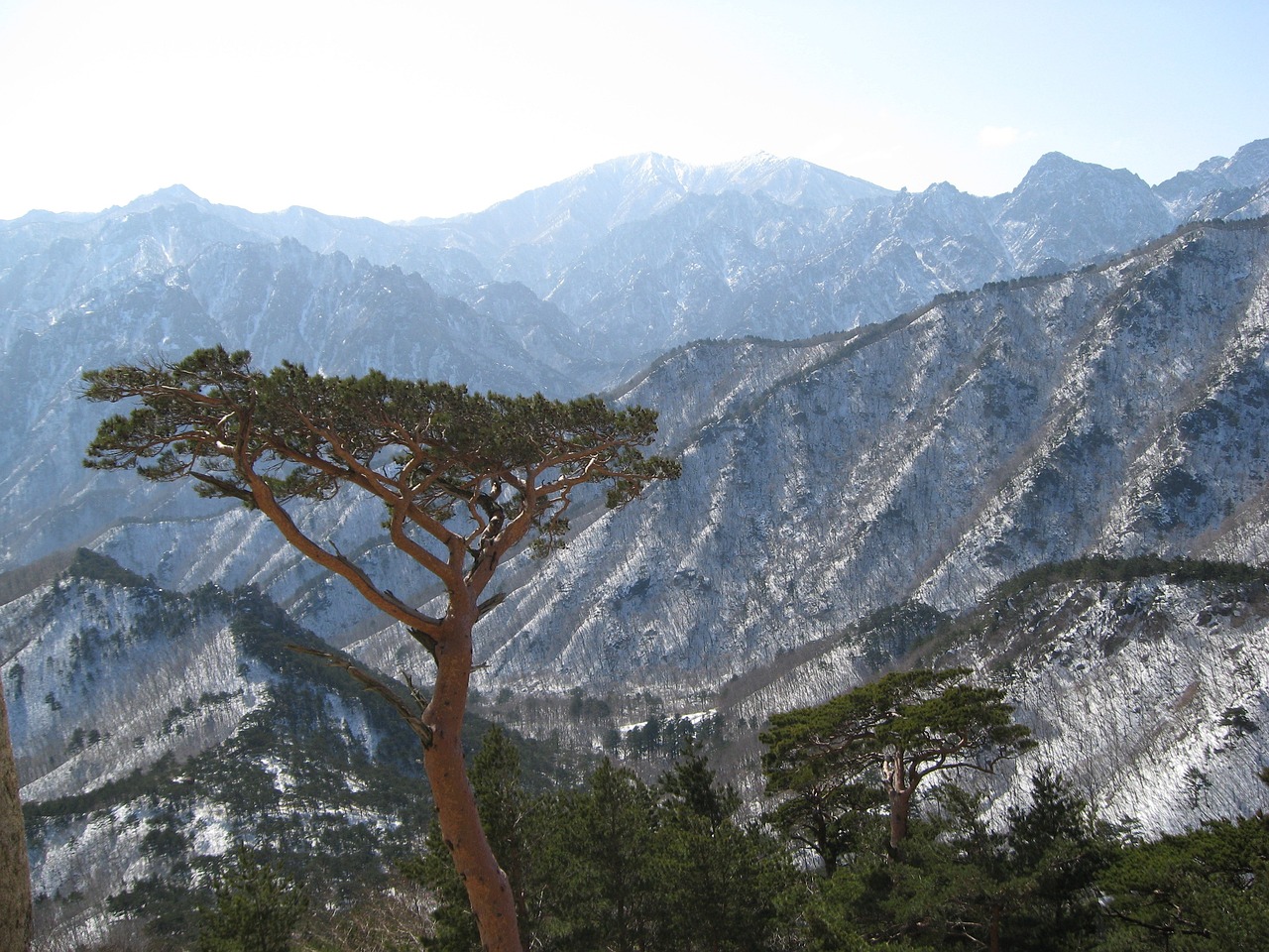 울산동구용달이사
