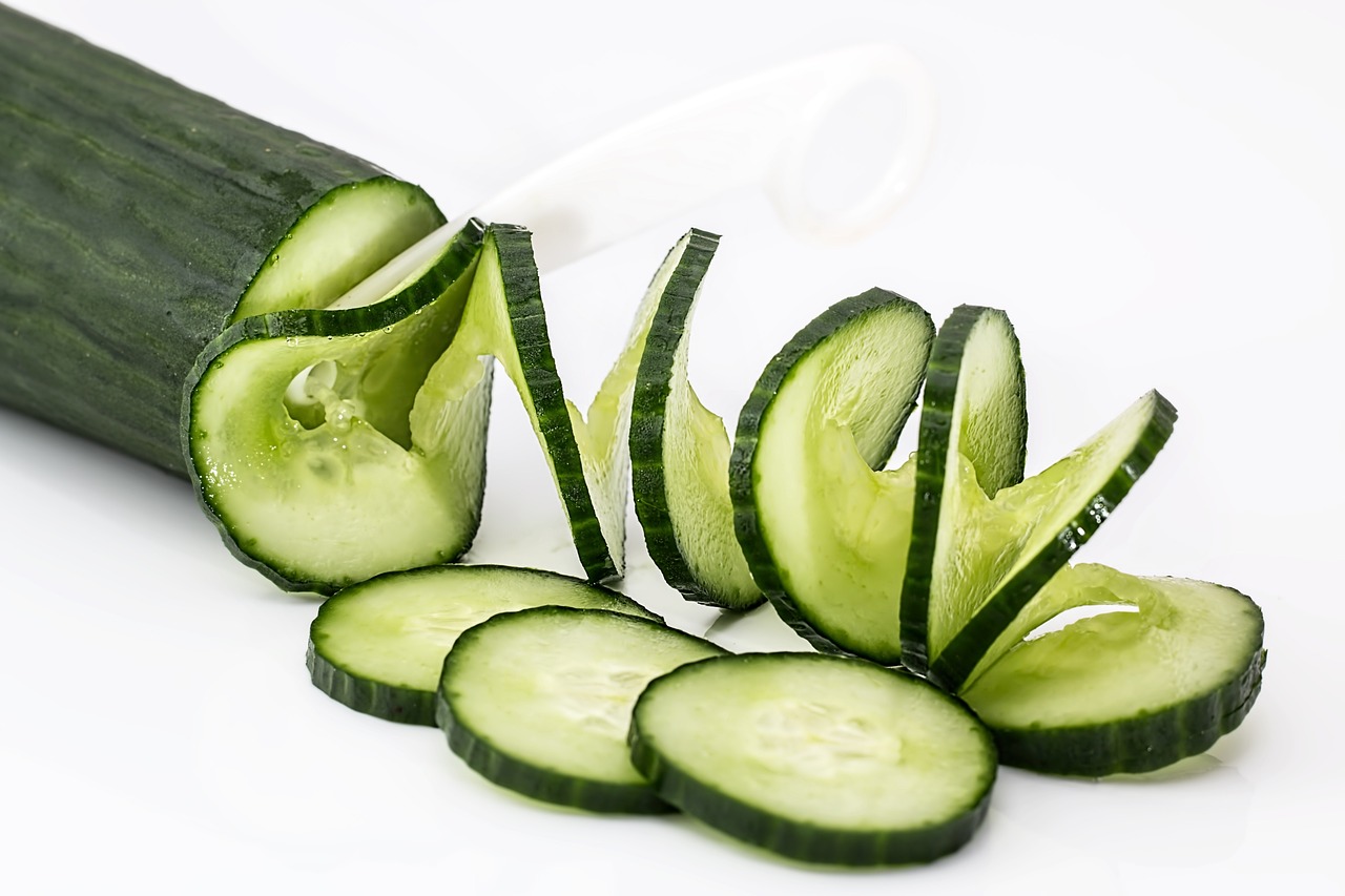 체지방 다이어트